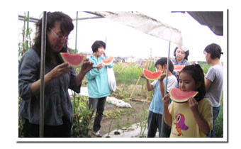 �ς���Ɣ_��