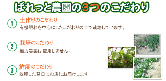 �ēc�����3�̂������